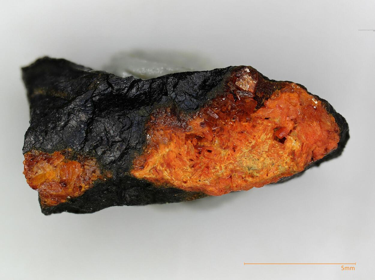 Fourmarierite