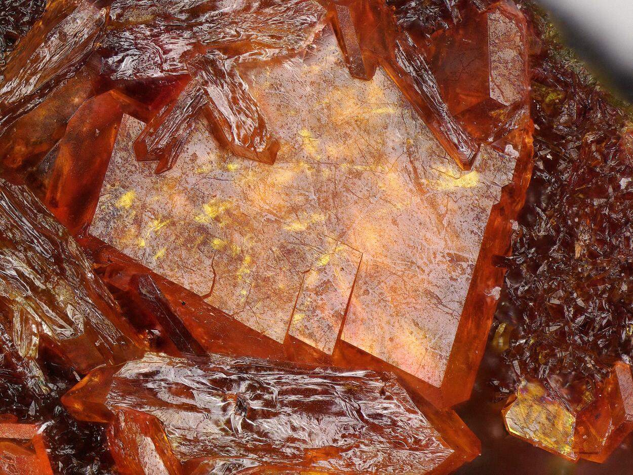 Fourmarierite