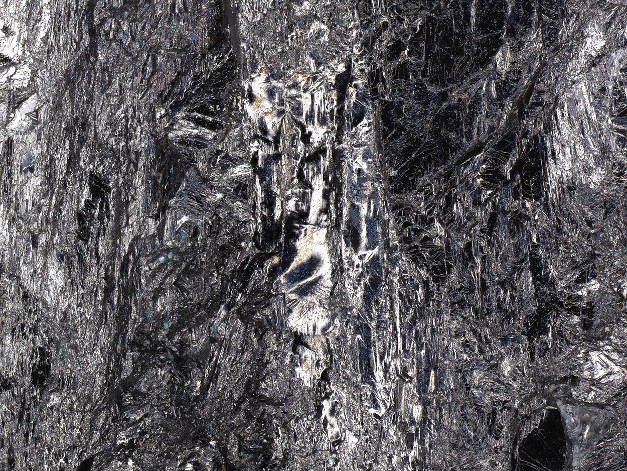 Lautite