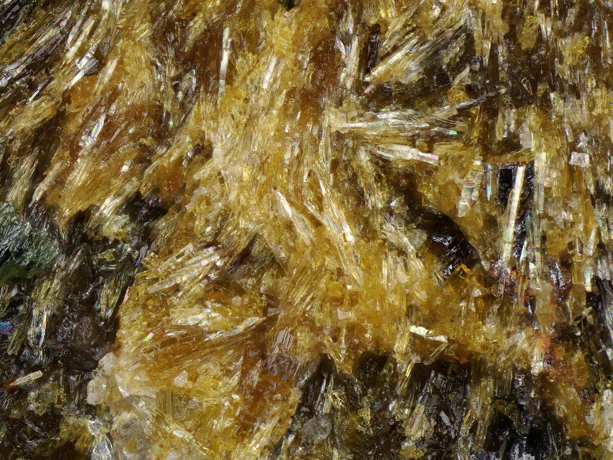 Lobanovite