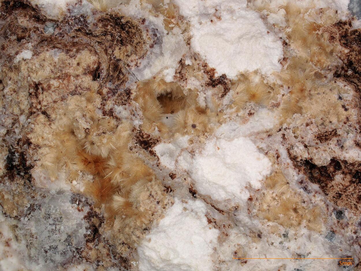 Penkvilksite & Raite