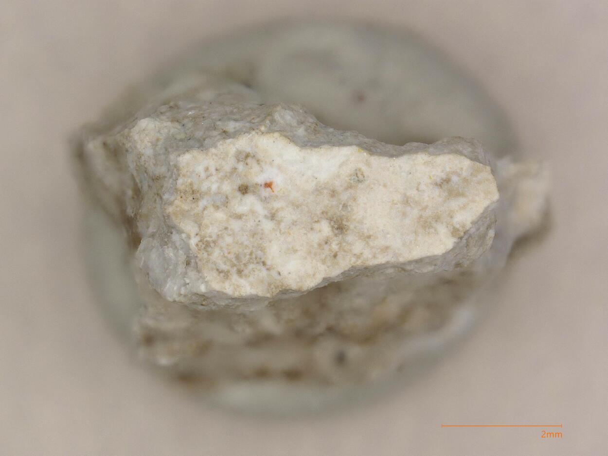 Karlleuite