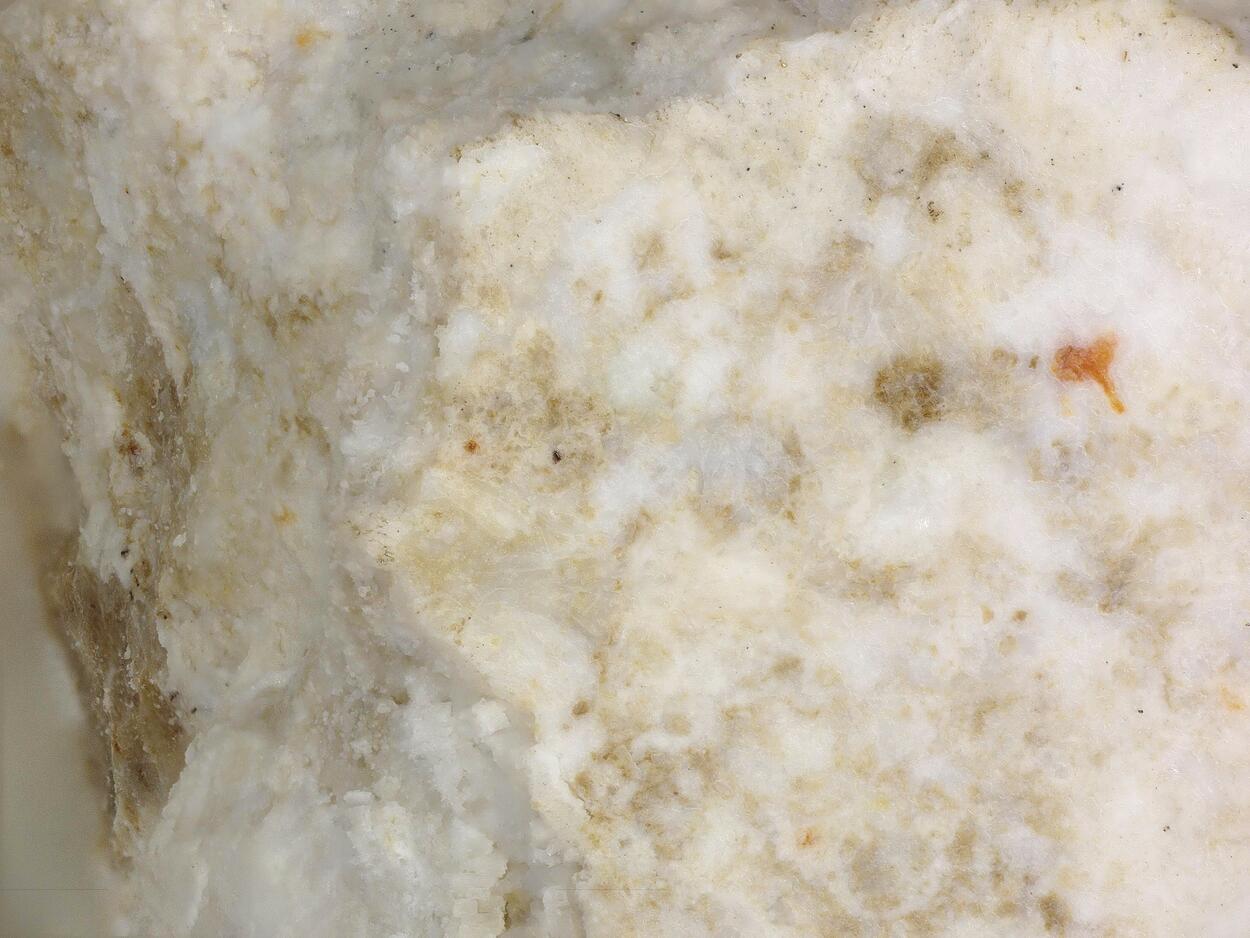 Karlleuite