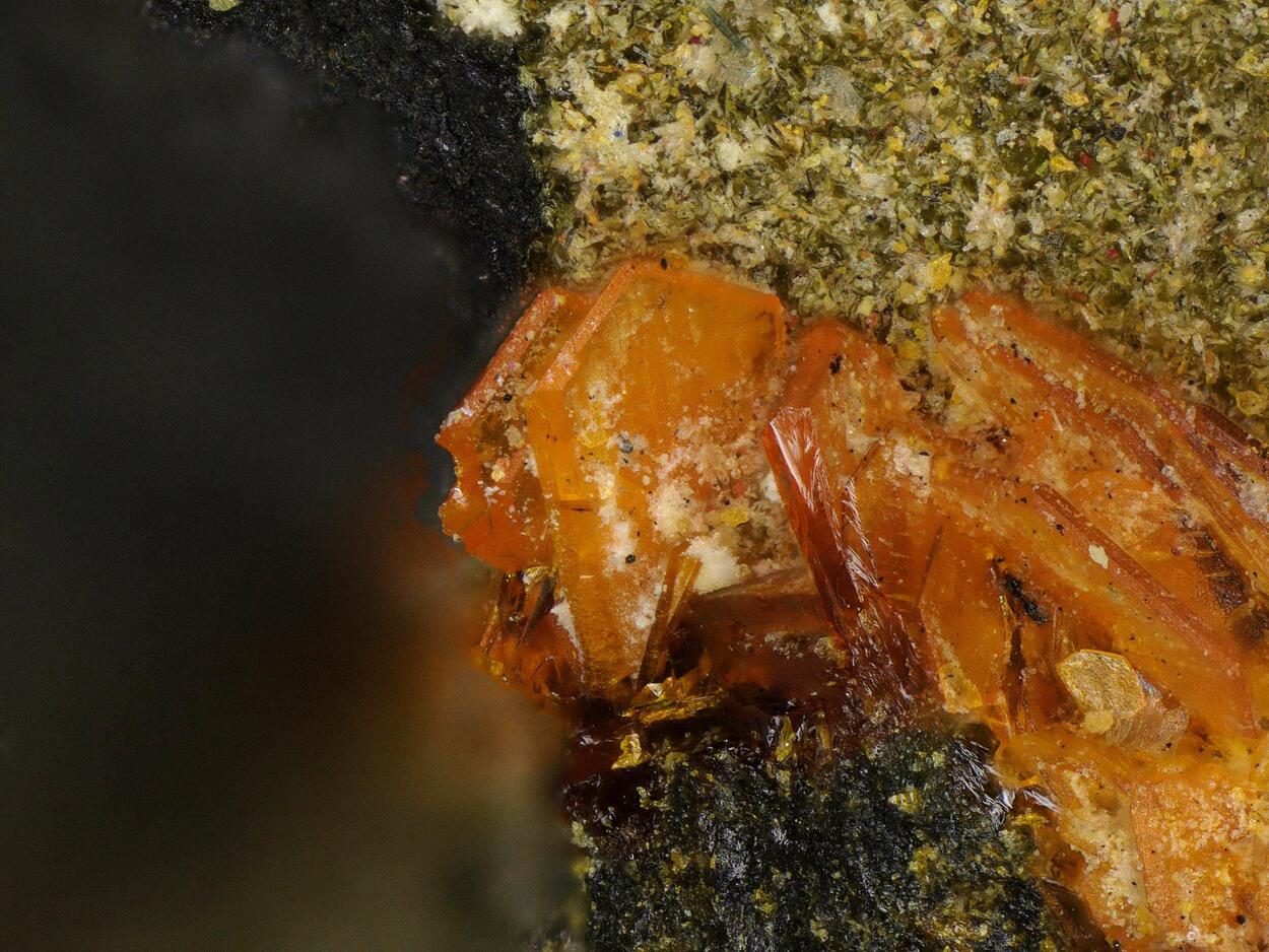 Fourmarierite
