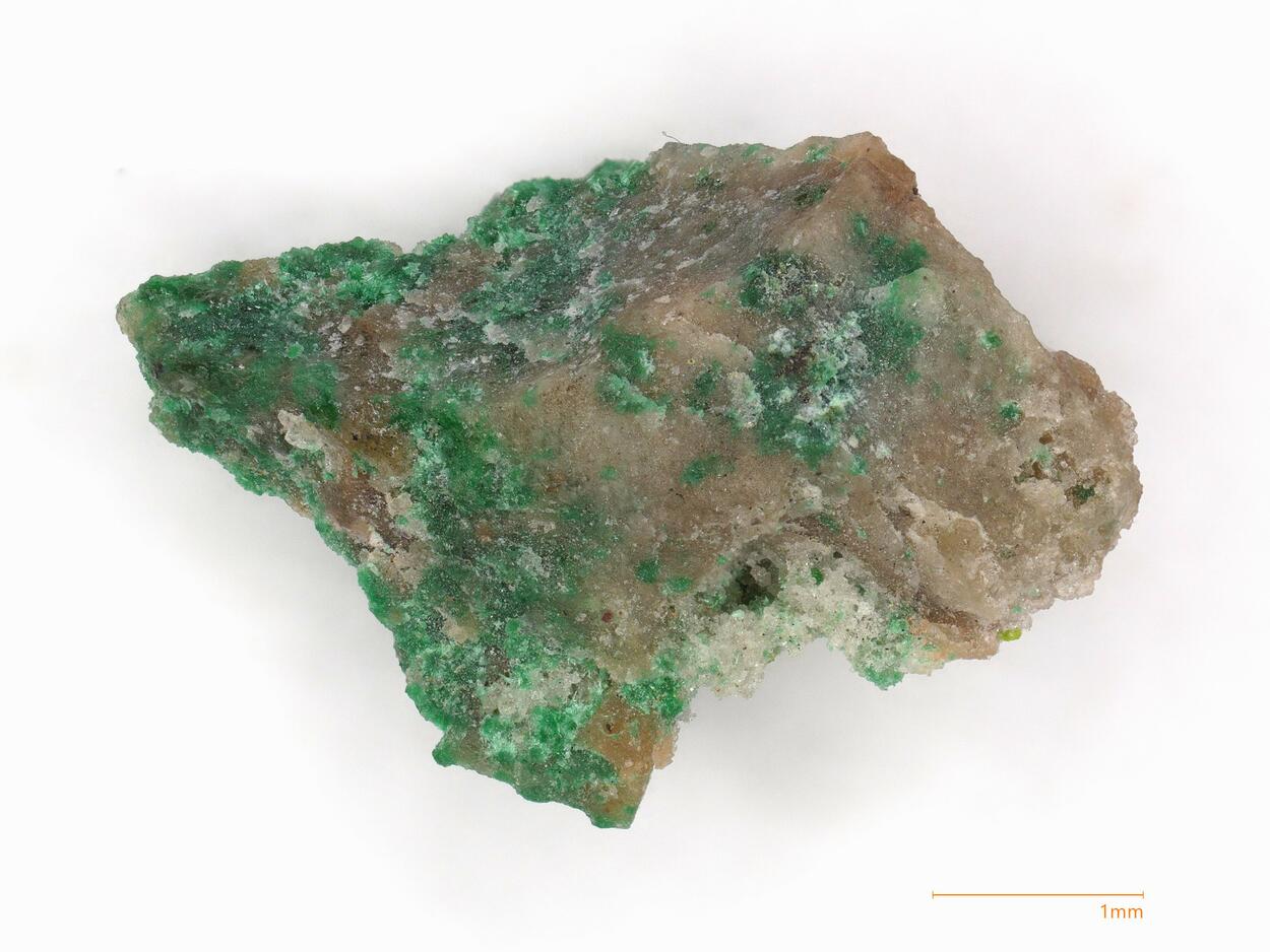 Oosterboschite