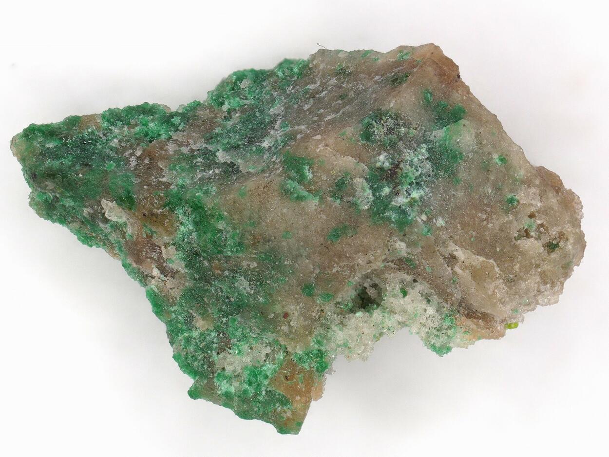 Oosterboschite
