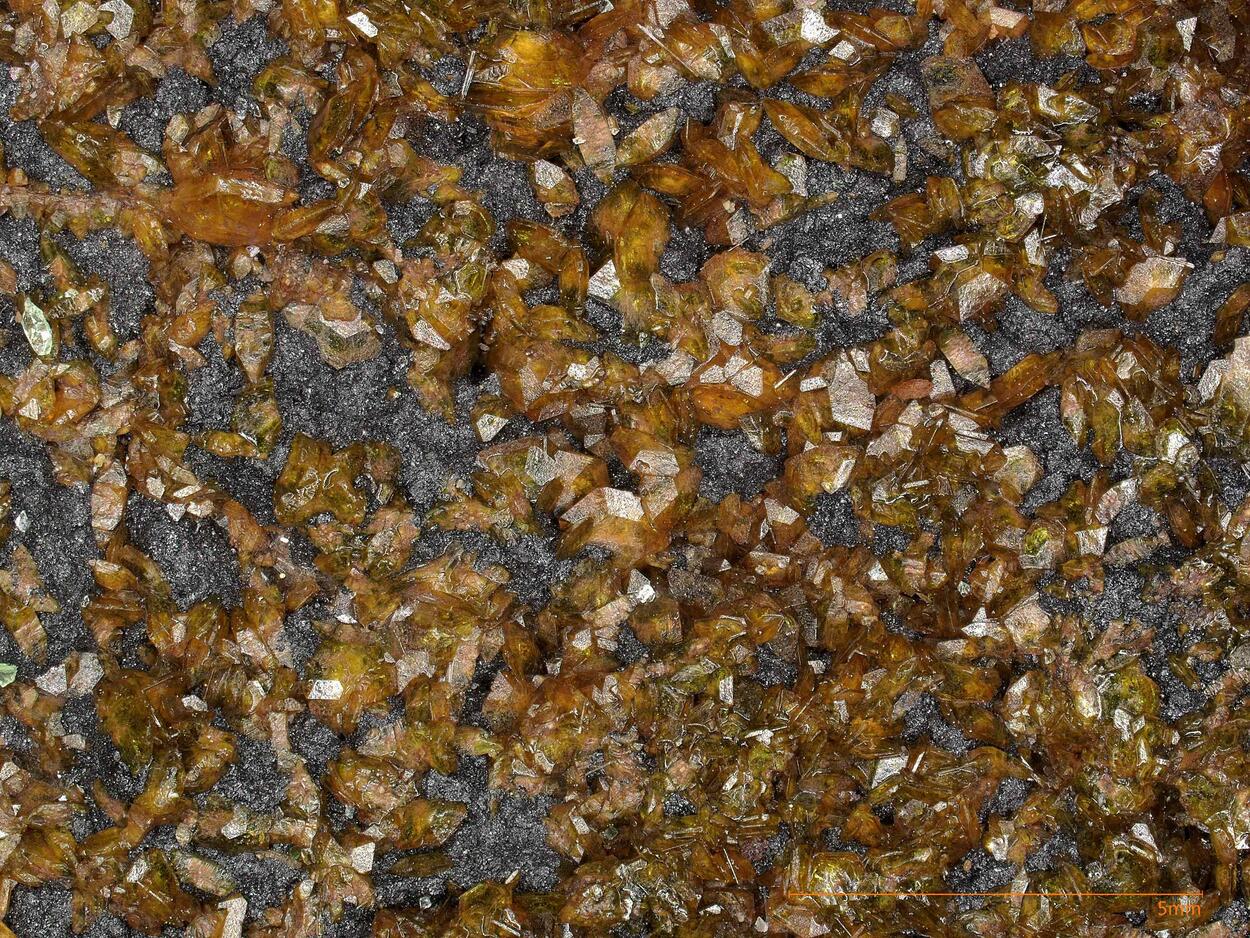 Sturmanite