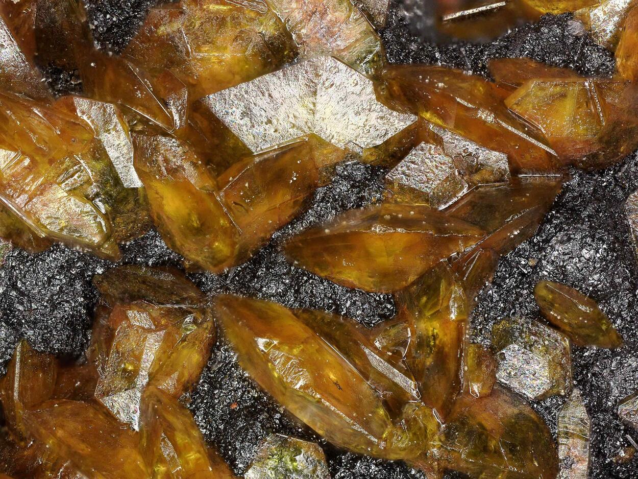Sturmanite