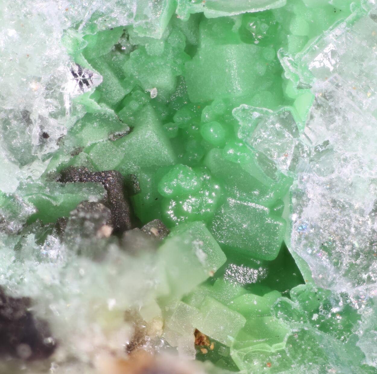 Conichalcite