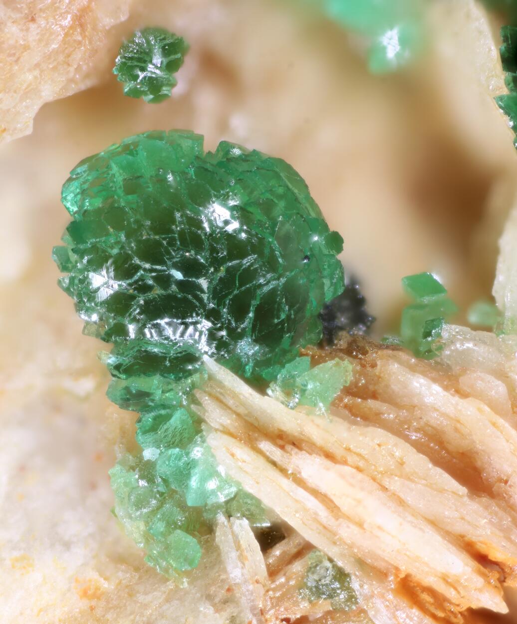 Adamite