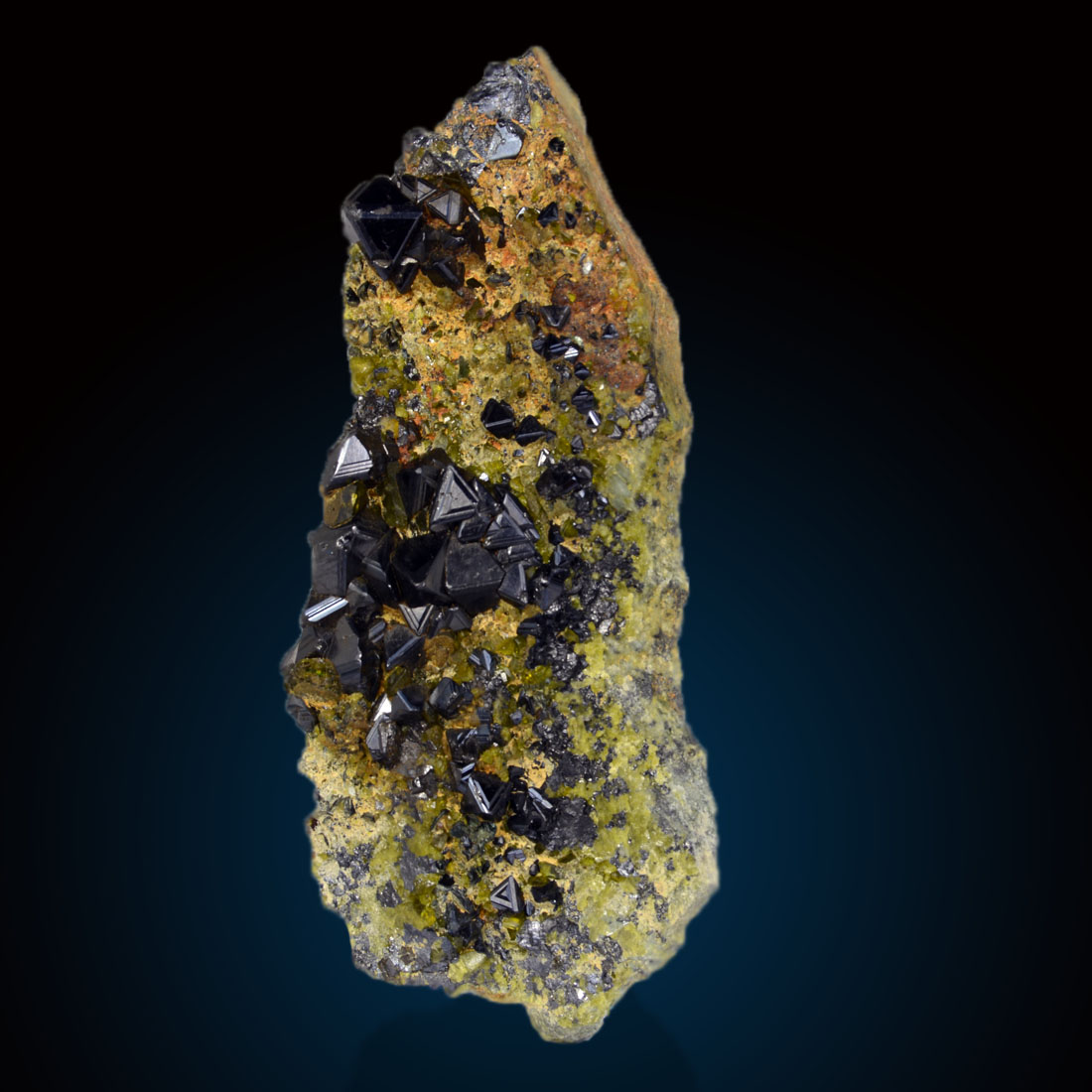 Magnetite With Epidote