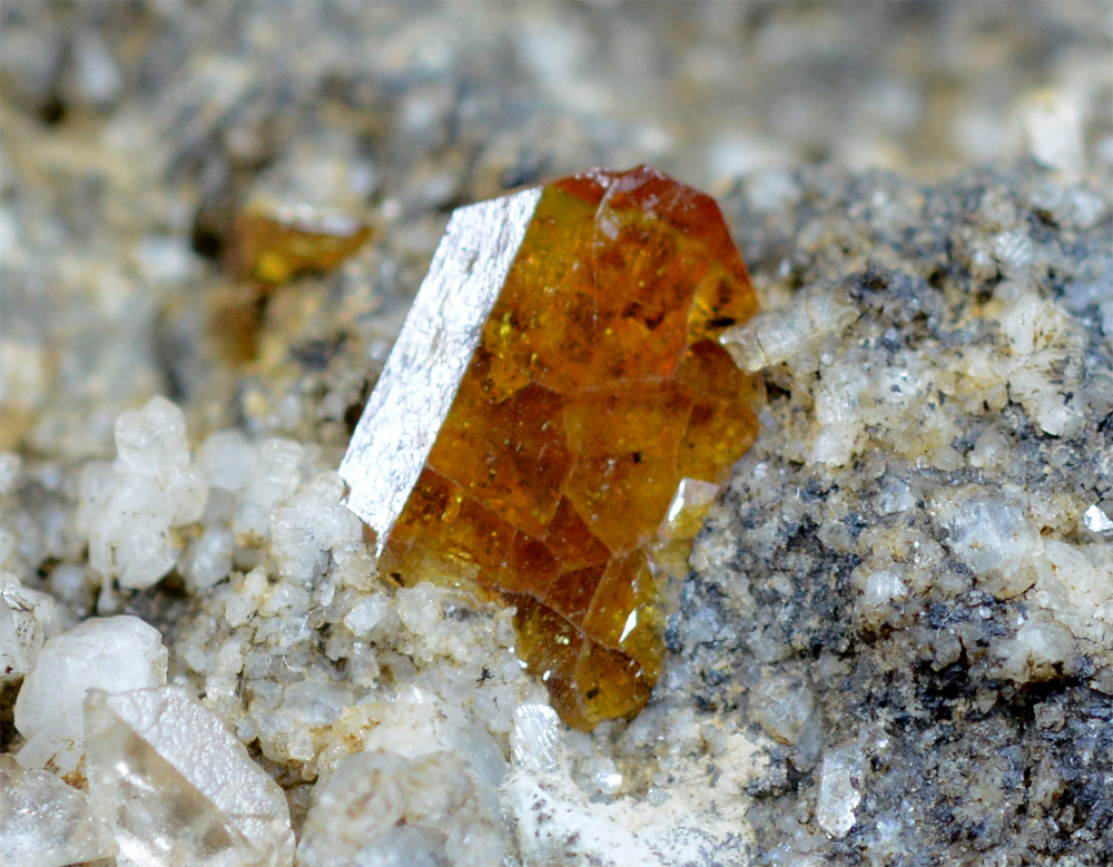 Monazite With Riebeckite