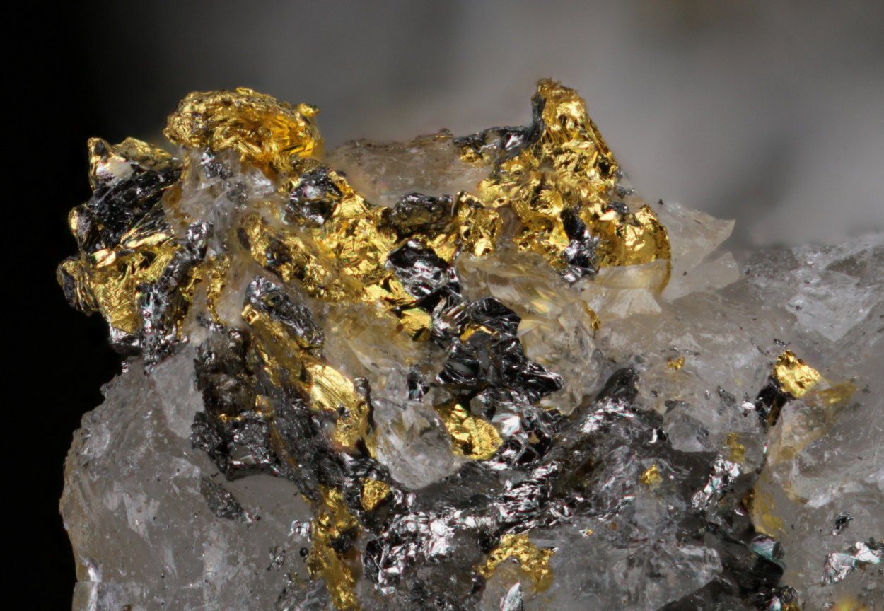 Gold & Tetradymite