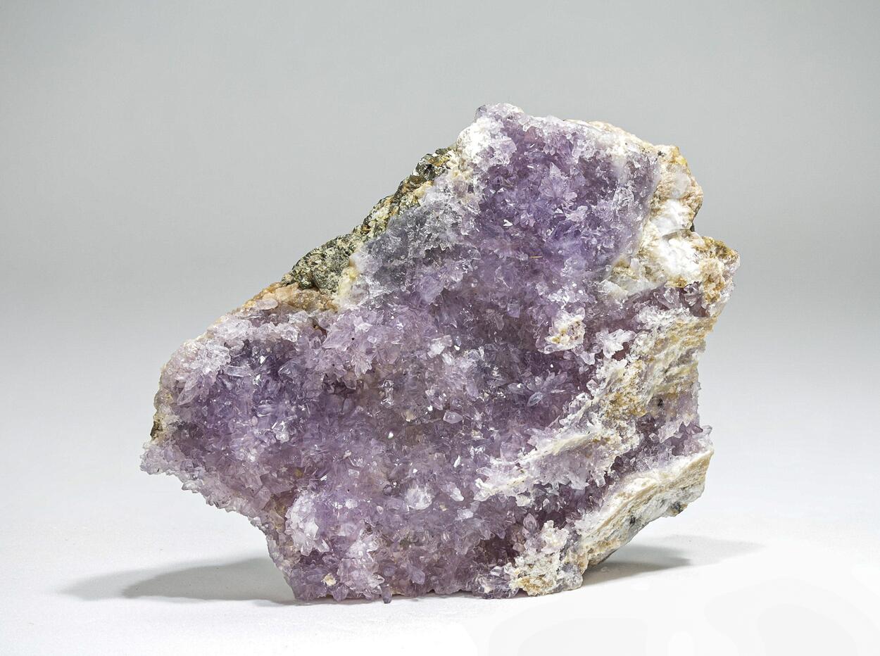 Creedite