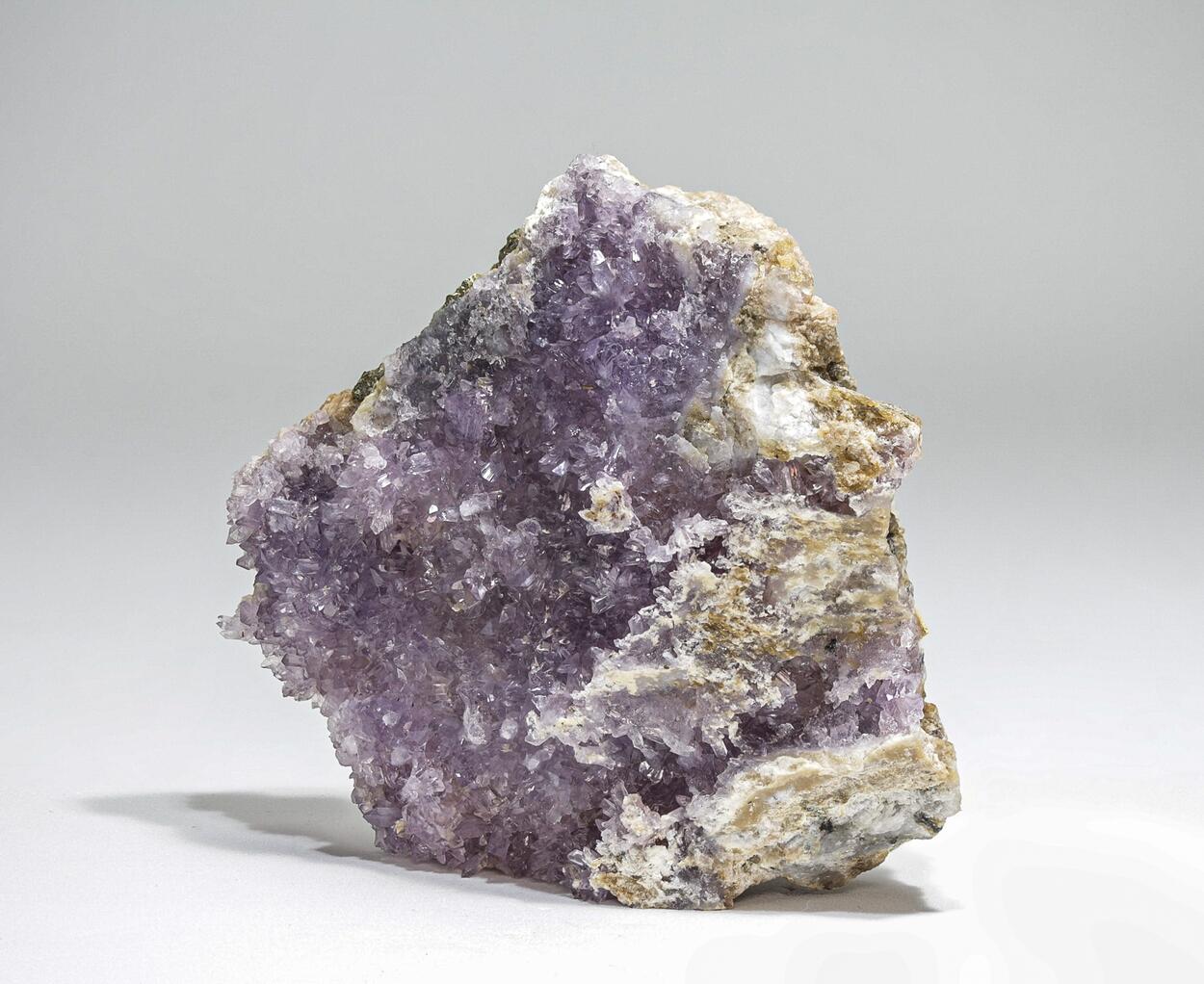 Creedite