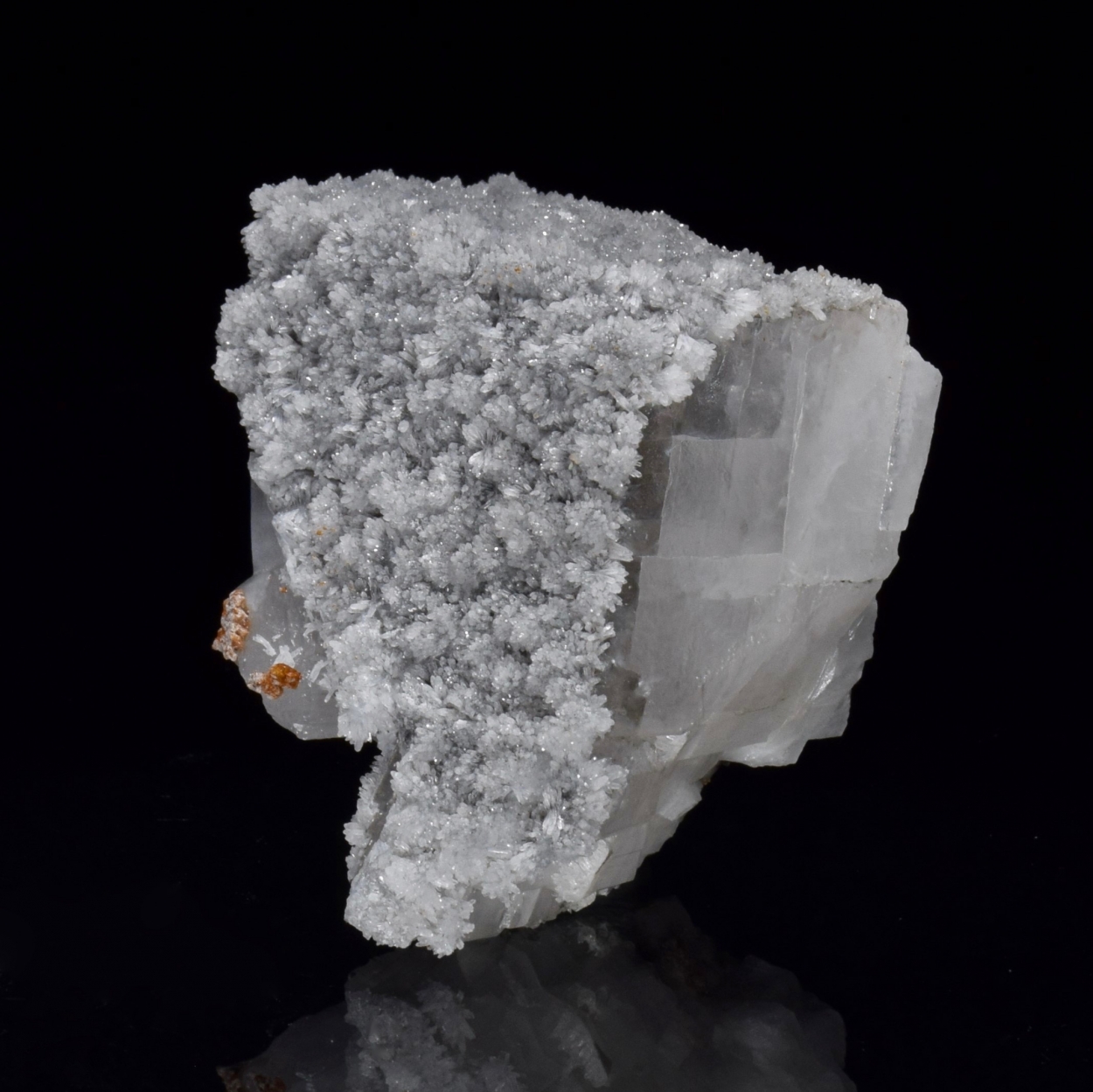 Celestine On Calcite