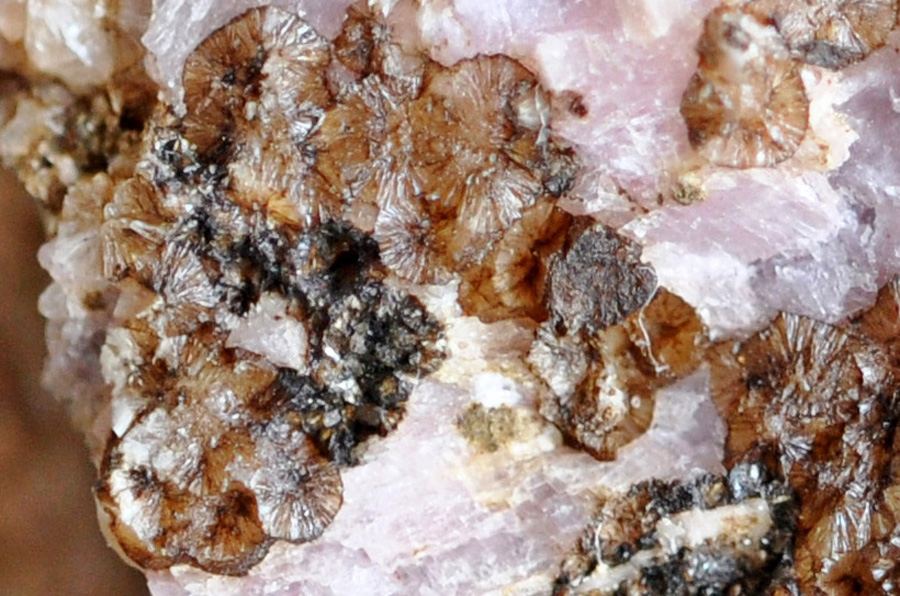 Sarkinite & Montmorillonite