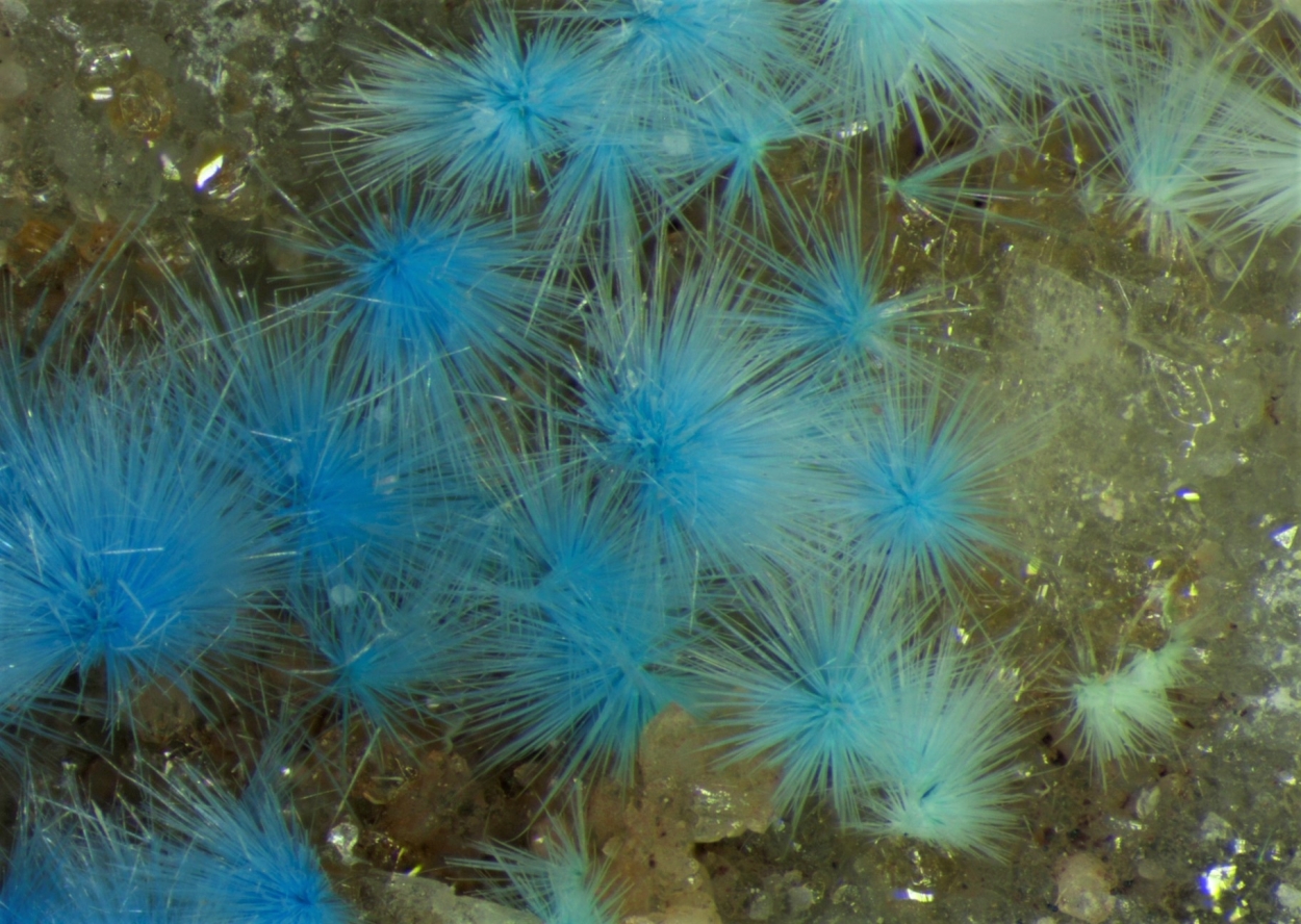 Cyanotrichite & Carbonatecyanotrichite