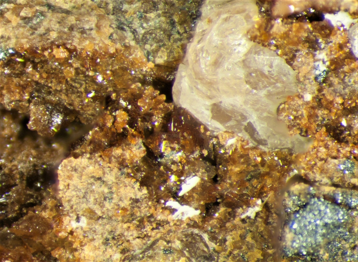 Trimerite Hematolite & Berzeliite