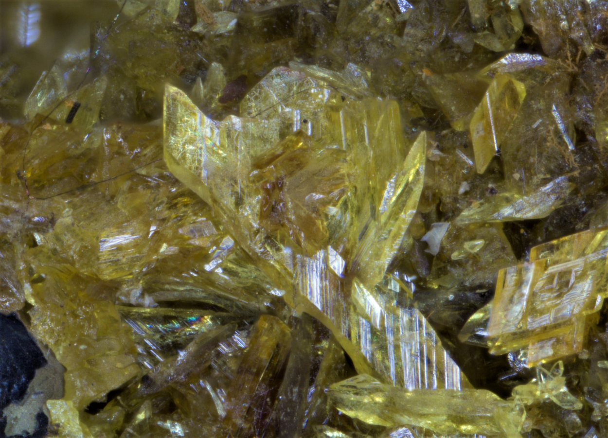 Stewartite Pseudolaueite Strunzite