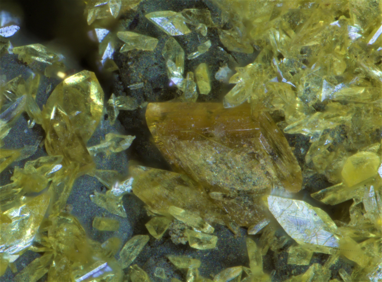 Stewartite Pseudolaueite Strunzite