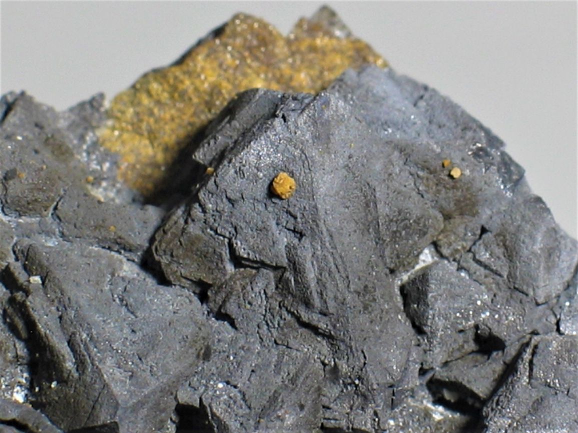 Galena & Wulfenite On Siderite