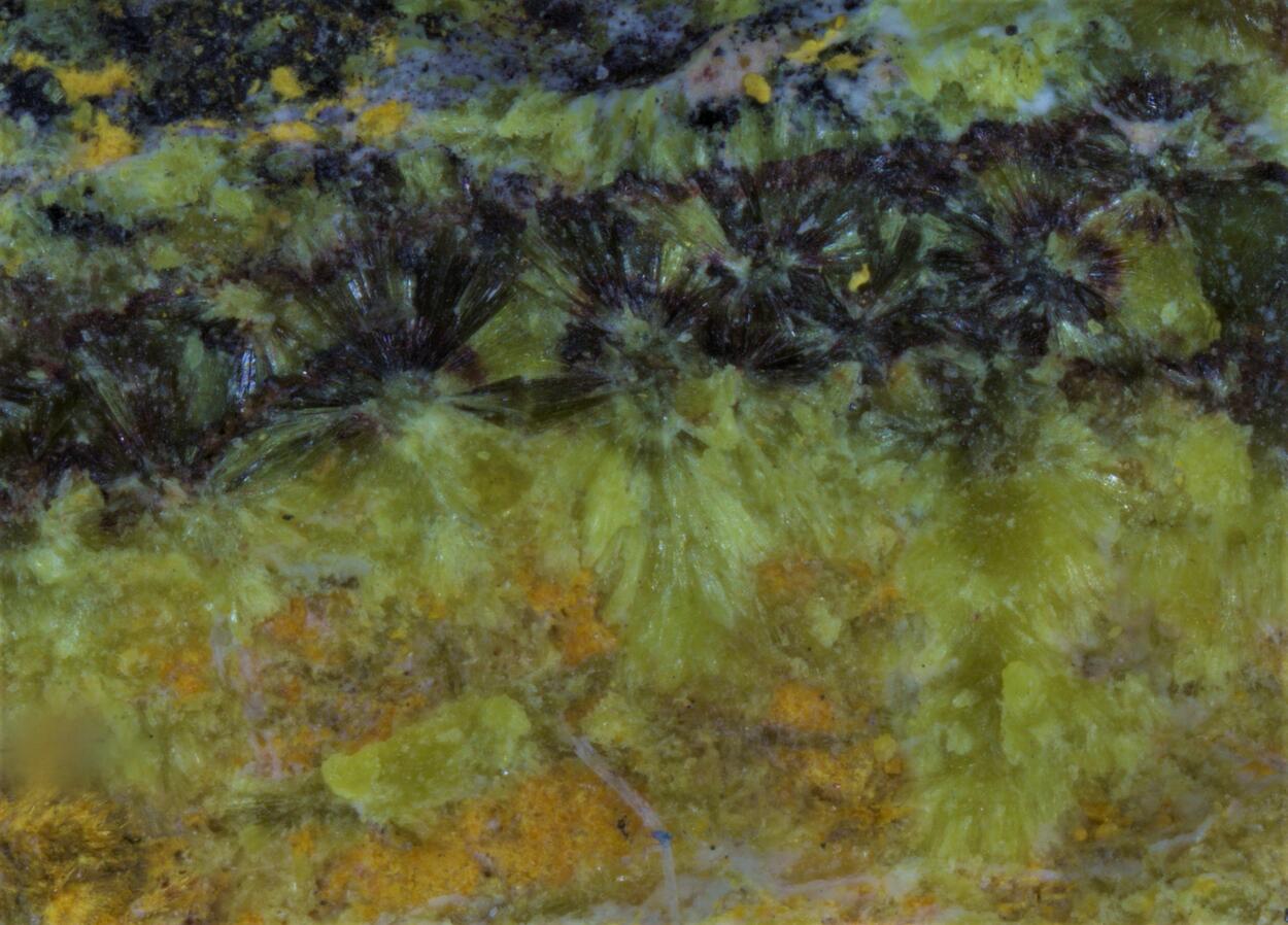Curite Sklodowskite Kasolite & Becquerelite