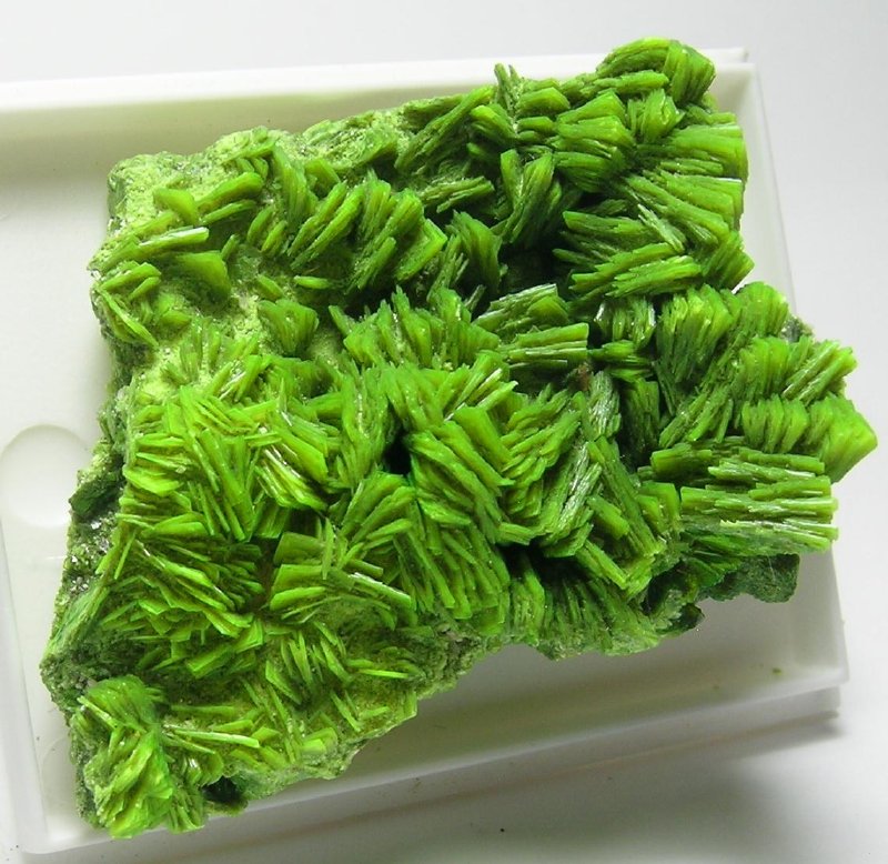 Autunite