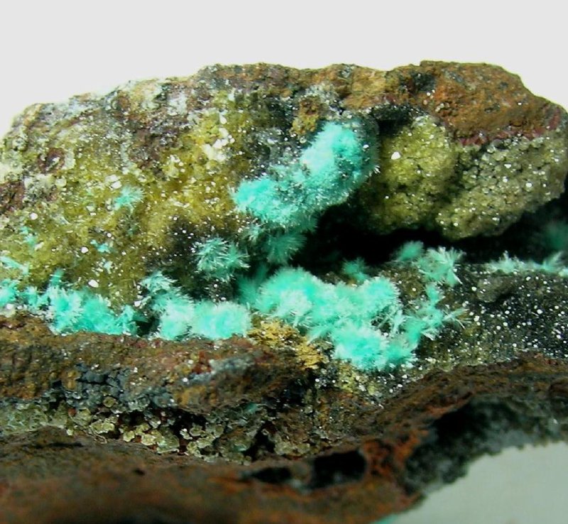 Mapimite & Aurichalcite