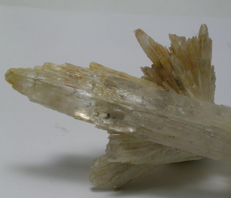 Gypsum