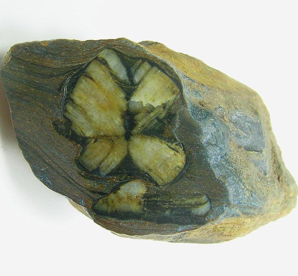 Chiastolite