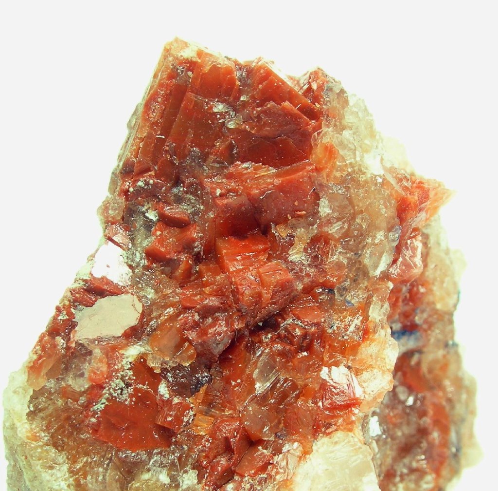 Polyhalite & Sylvite