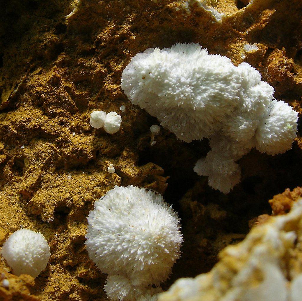 Strontianite & Calcite