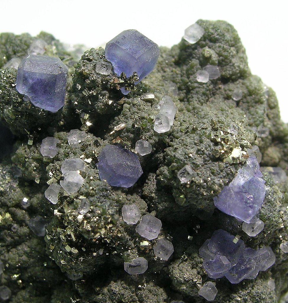 Fluorite & Pyrite