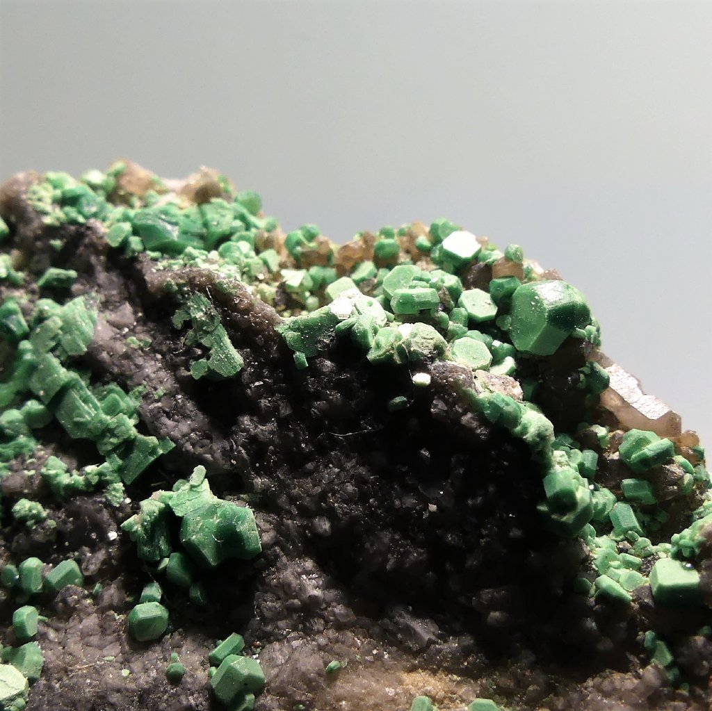 Torbernite