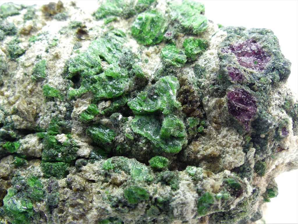 Pyrope Chromian Diopside & Forsterite