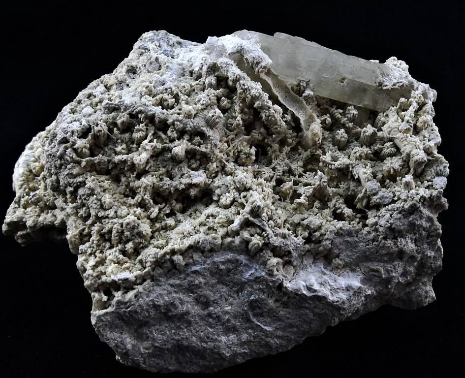 Celestine On Coral Fossil