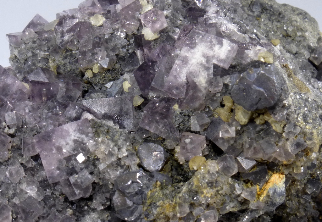 Fluorite & Galena