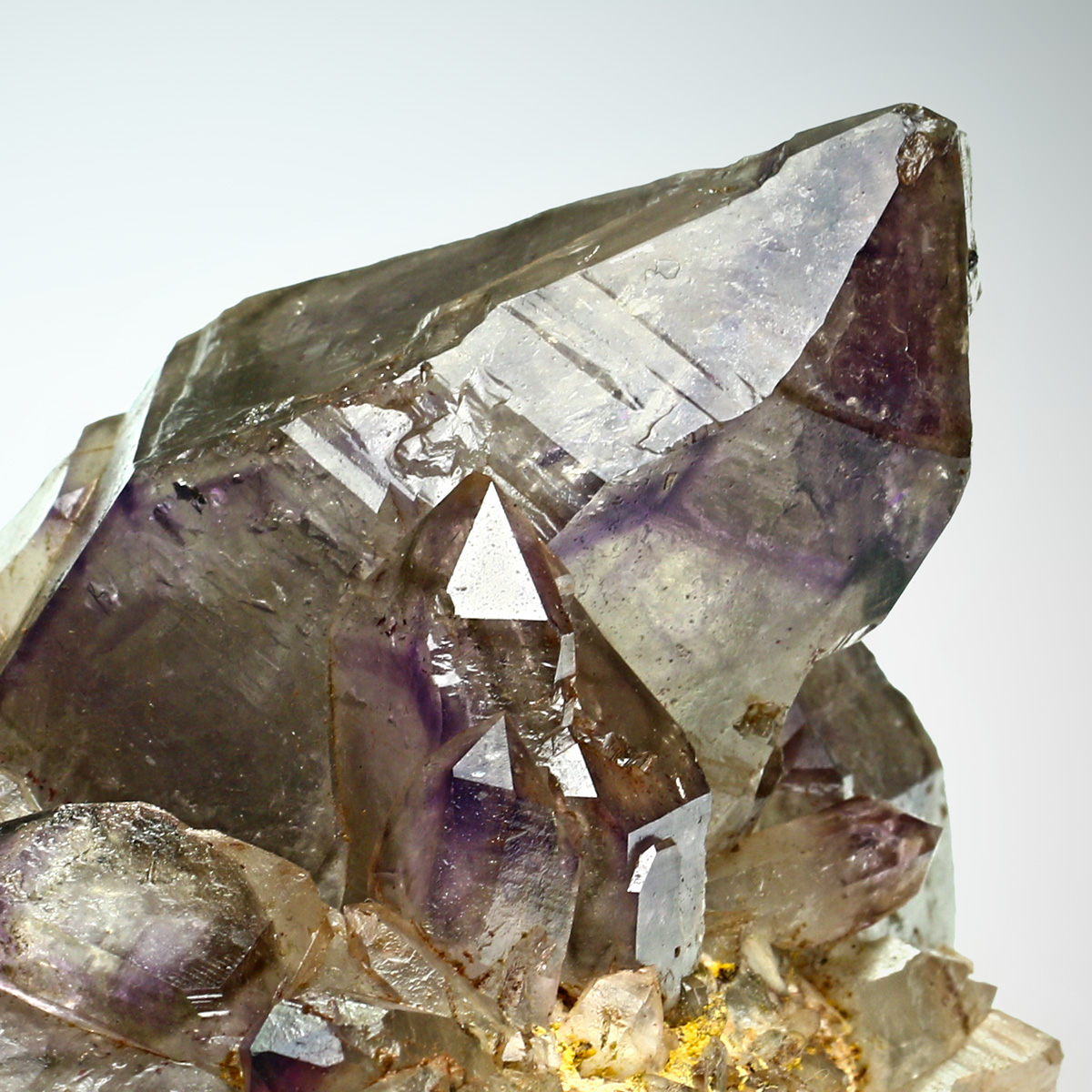 Fensterquarz Amethyst