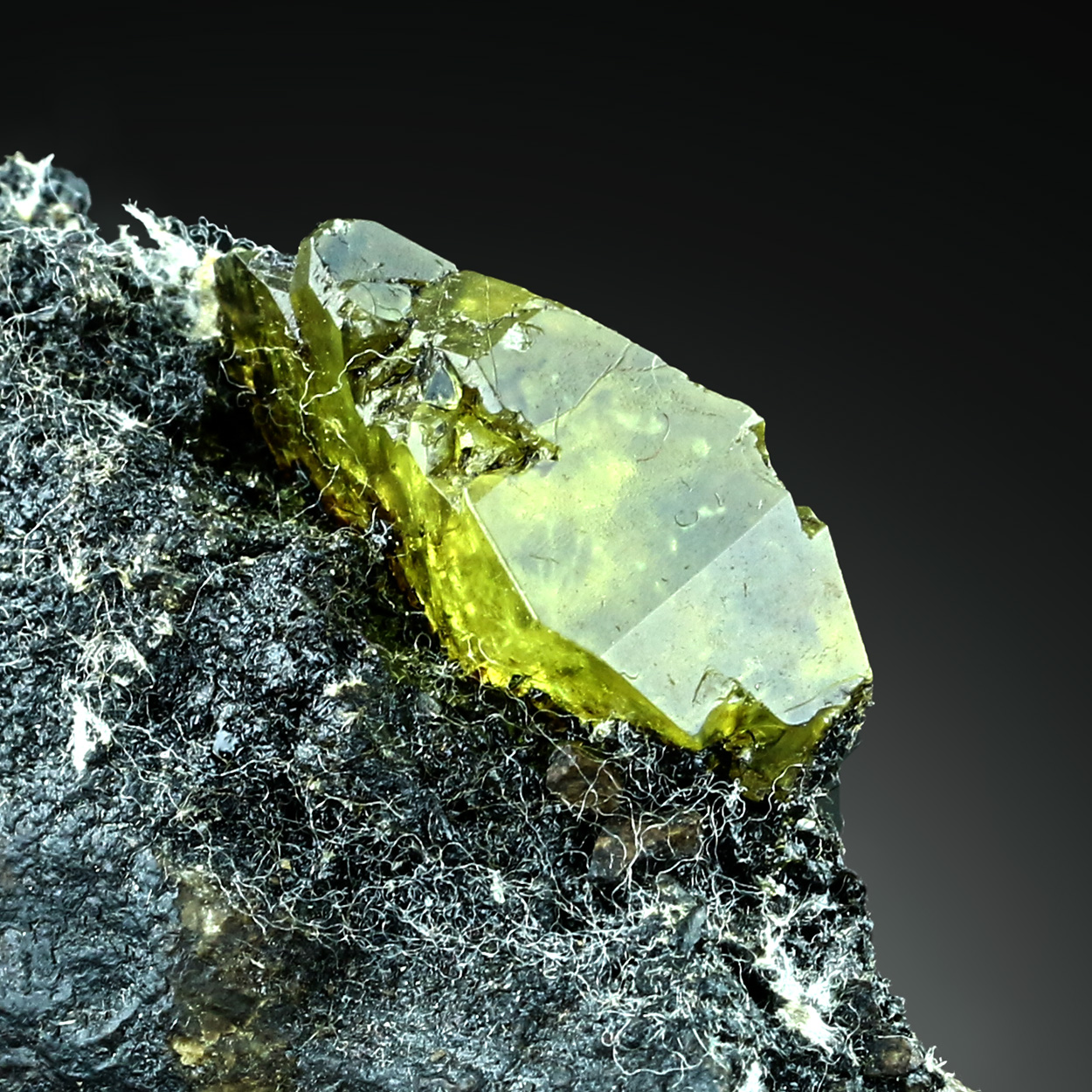 Native Sulphur