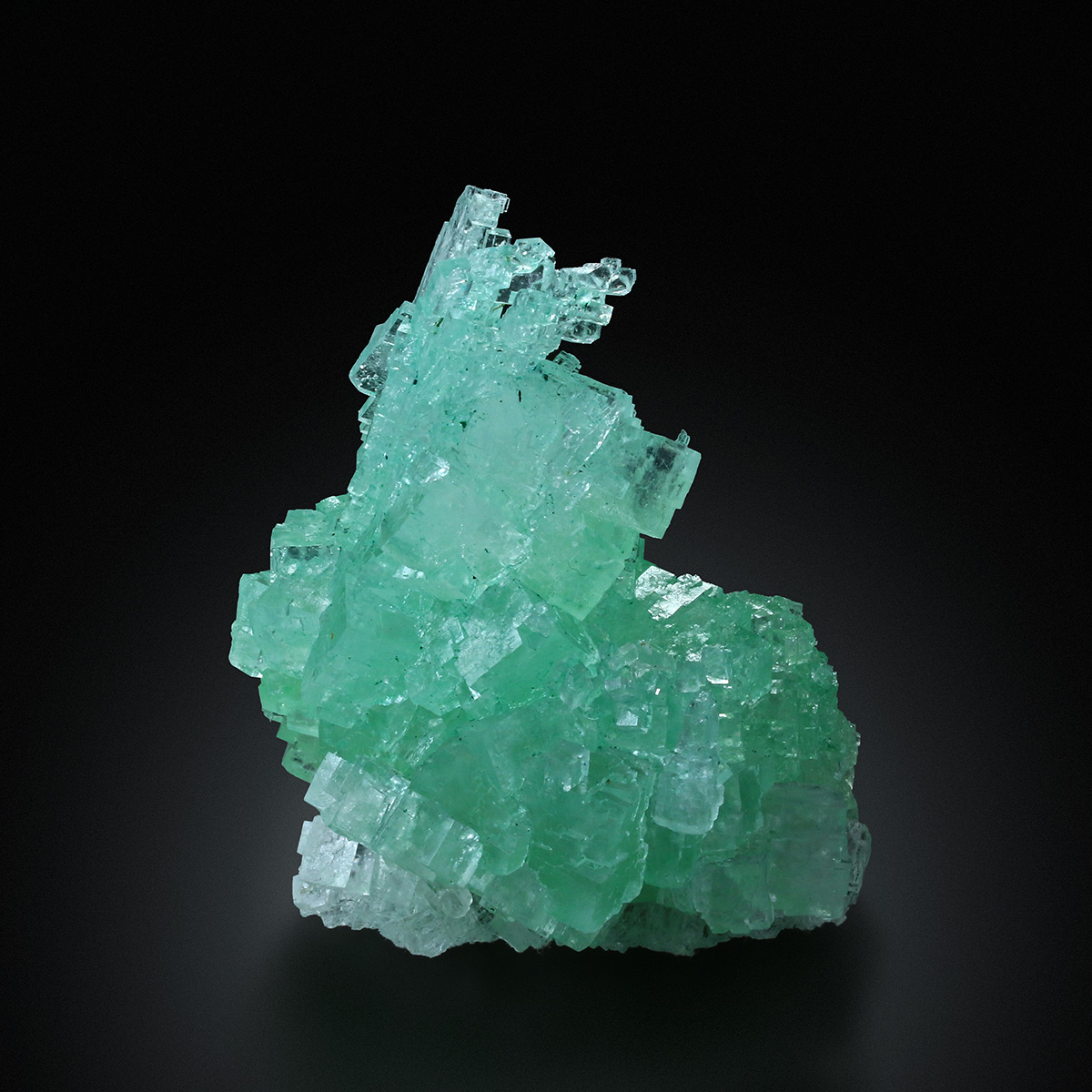 Halite