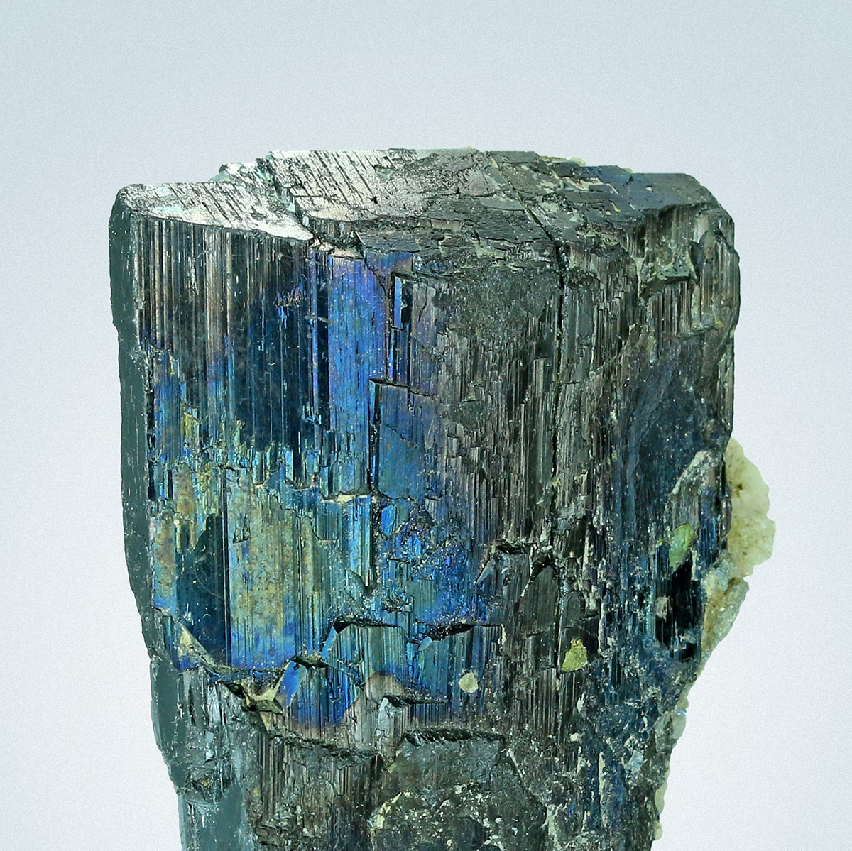 Wolframite With Pyrite & Dolomite