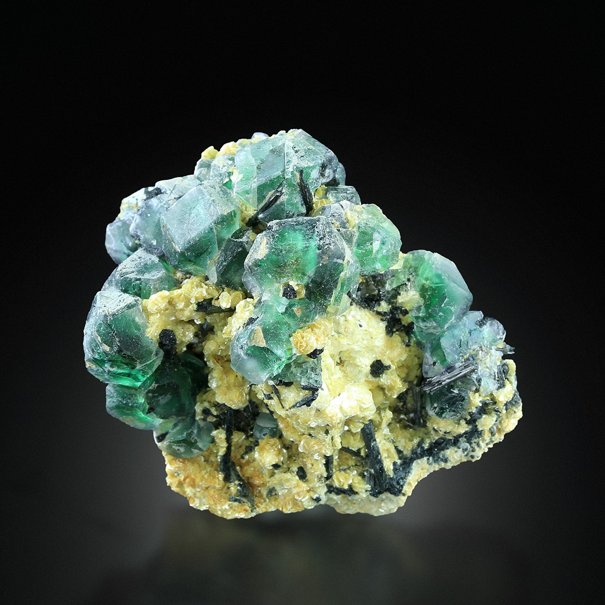 Fluorite With Schorl On Muscovite