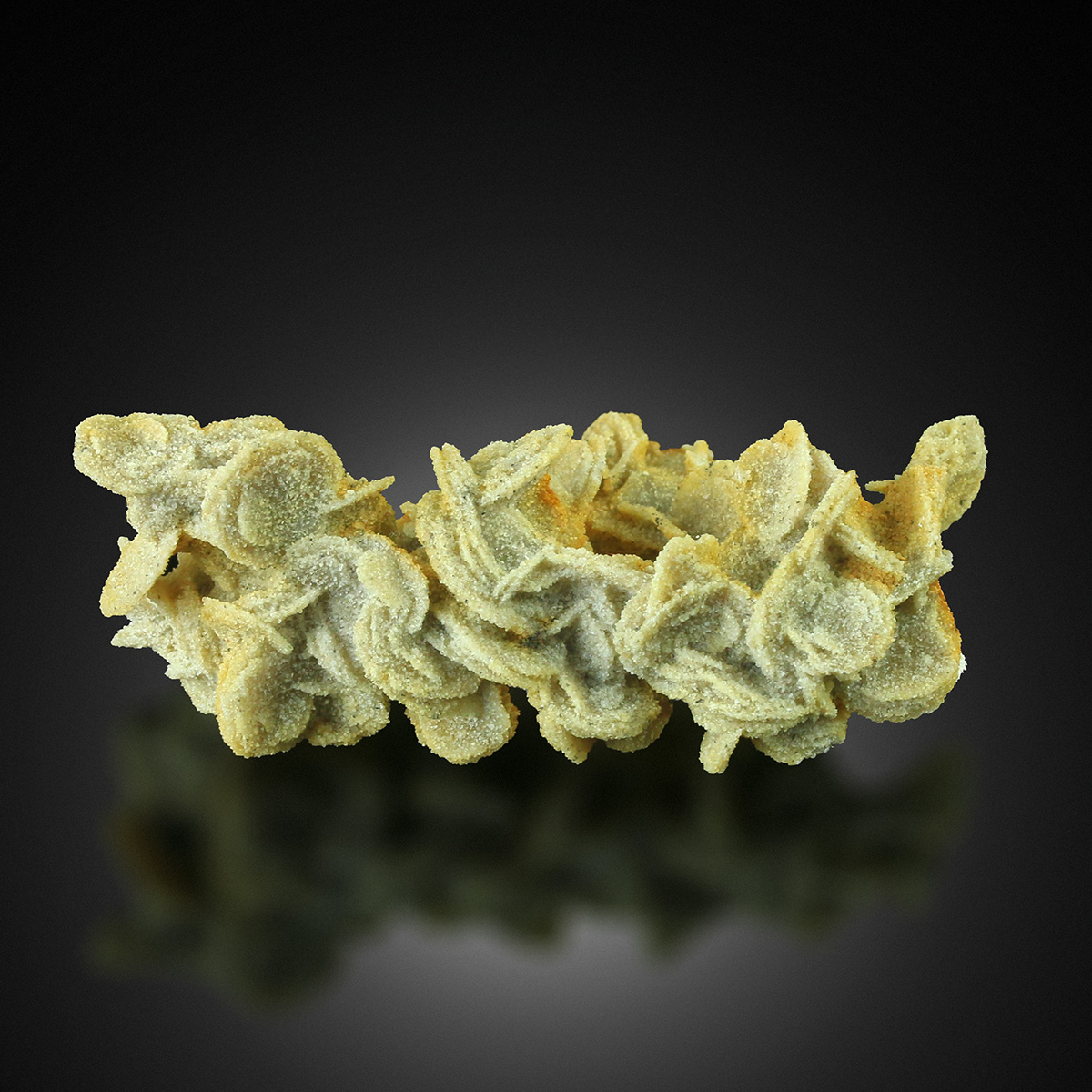 Gypsum Var Desert Rose