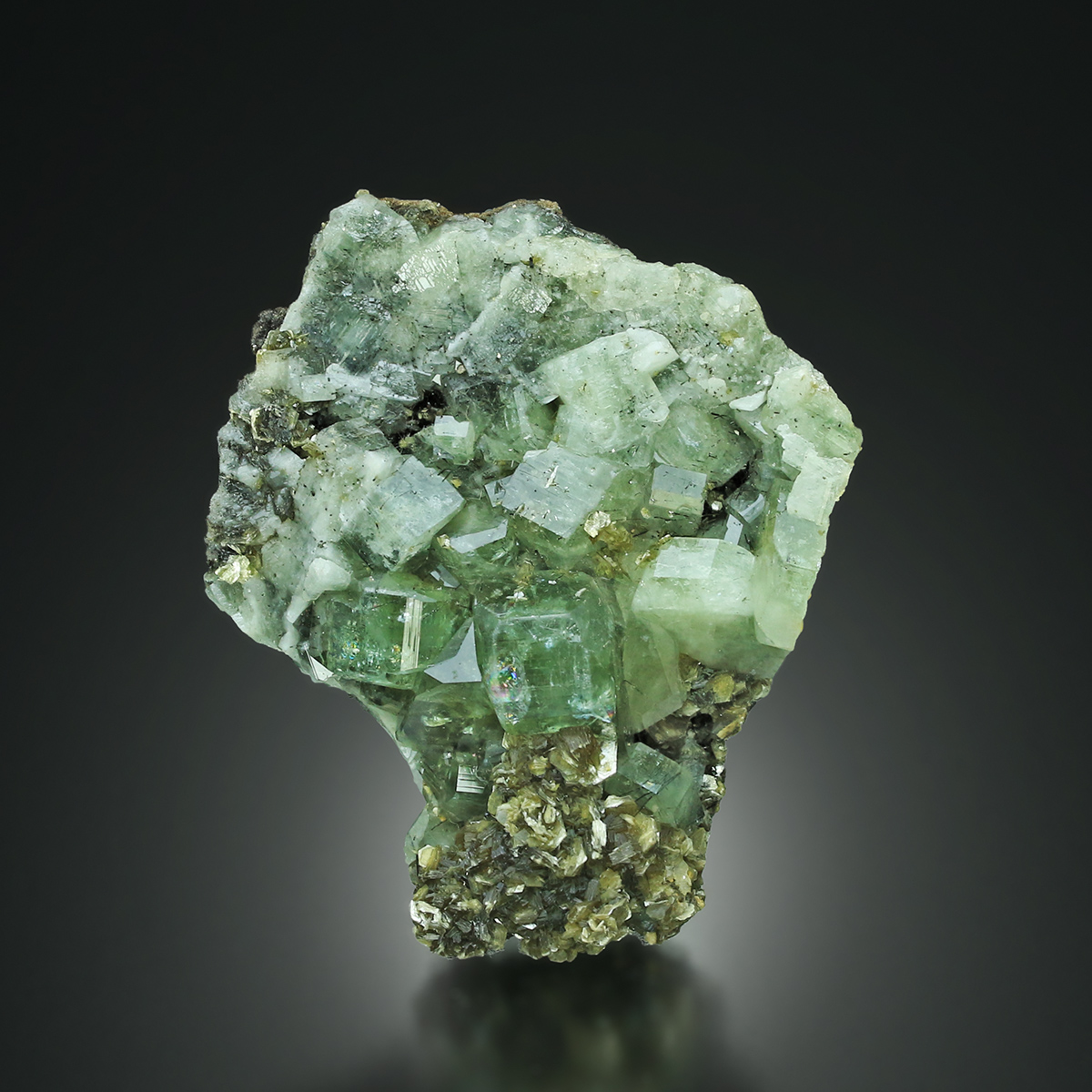 Apatite With Muscovite