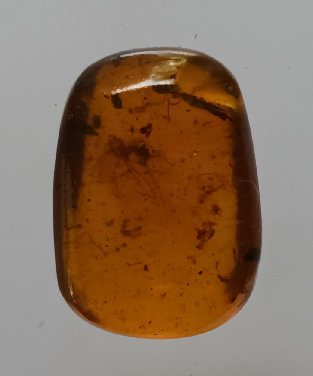 Amber With Inclusions