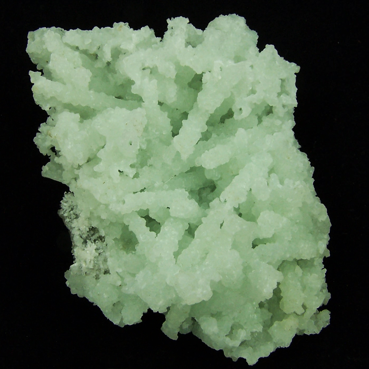 Prehnite