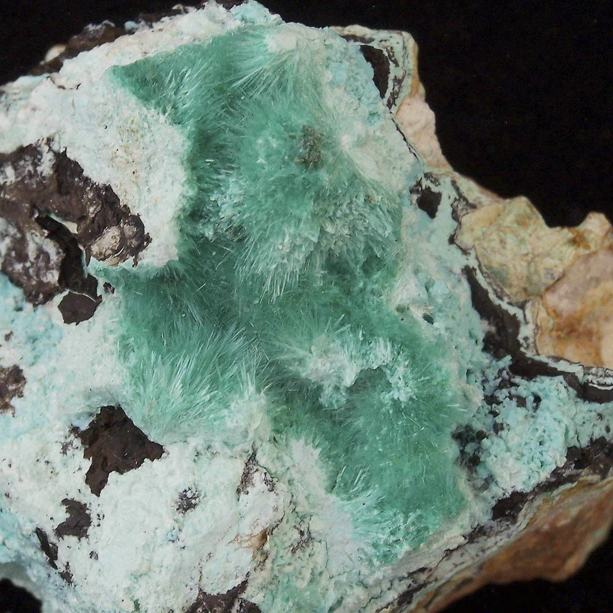 Aurichalcite