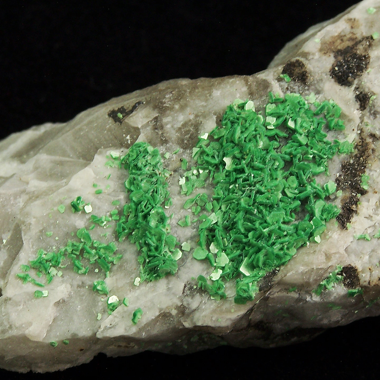 Torbernite