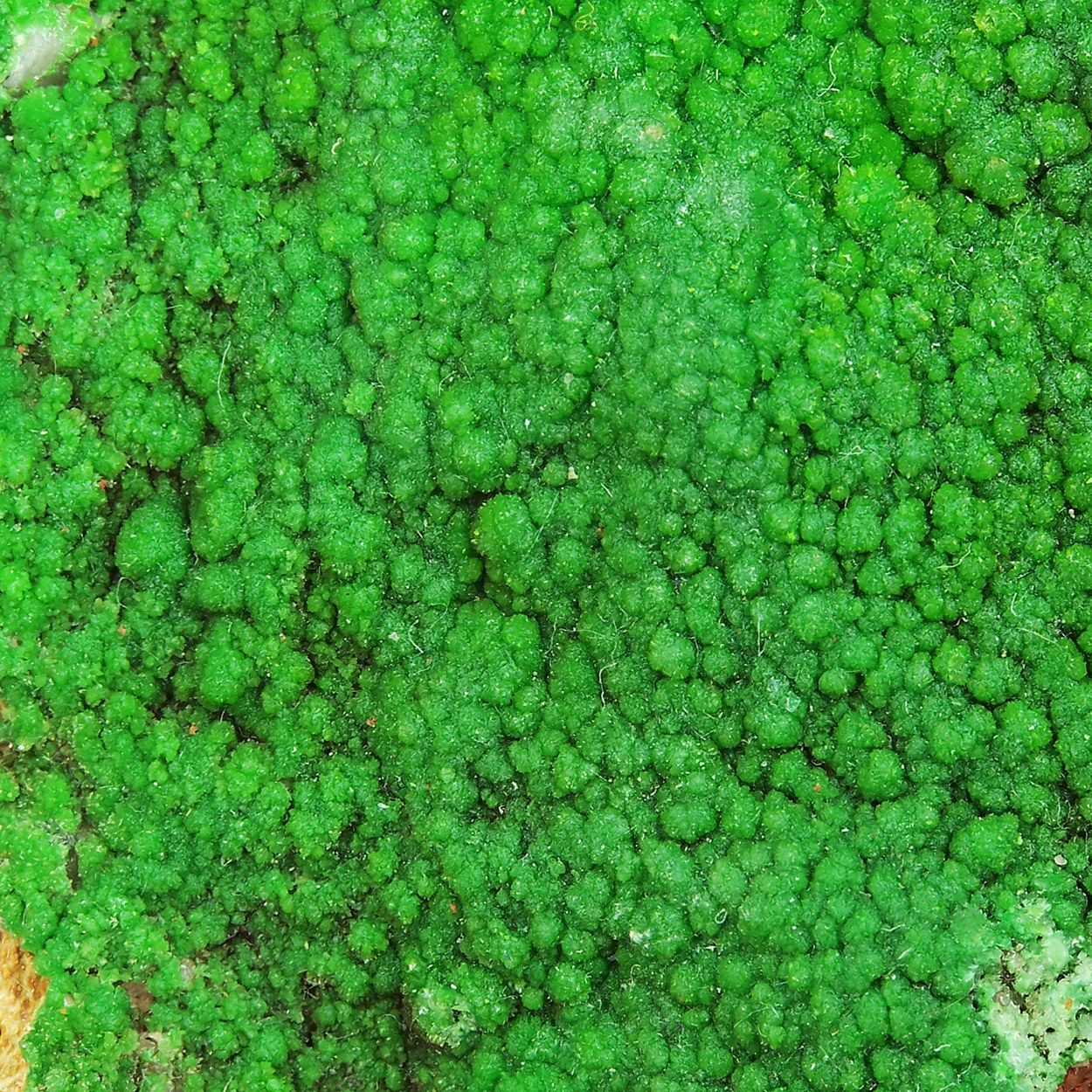 Pyromorphite